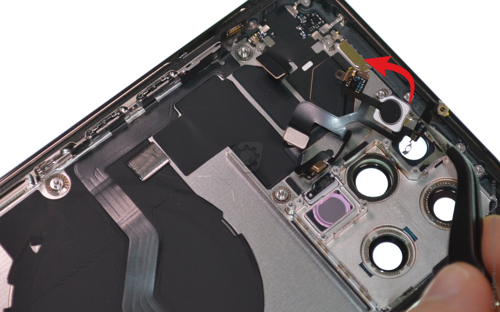 Démontage complet sur iPhone 12 Pro Max photo 3