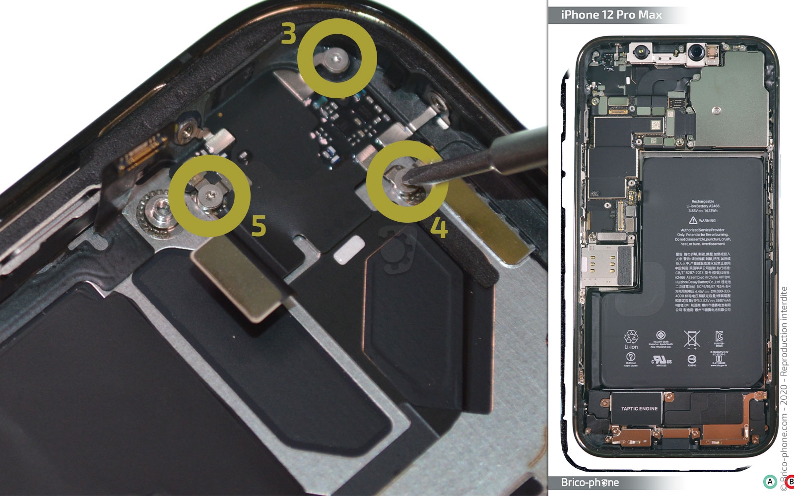 Démontage complet sur iPhone 12 Pro Max photo 2