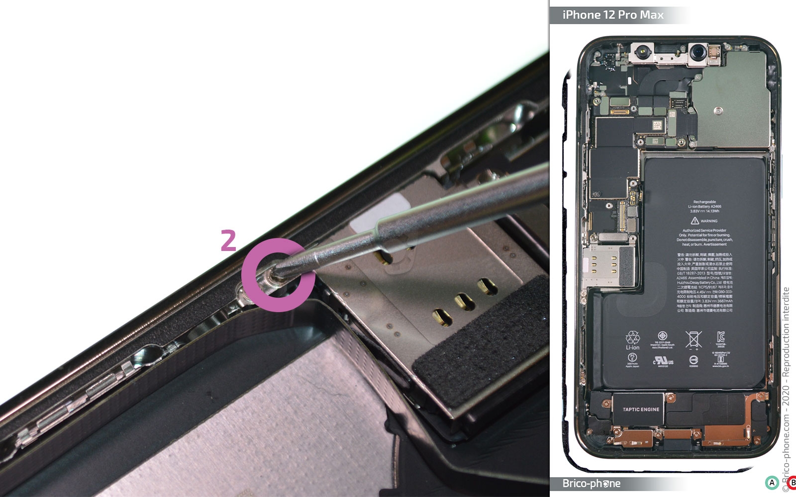 Démontage complet sur iPhone 12 Pro Max photo 2