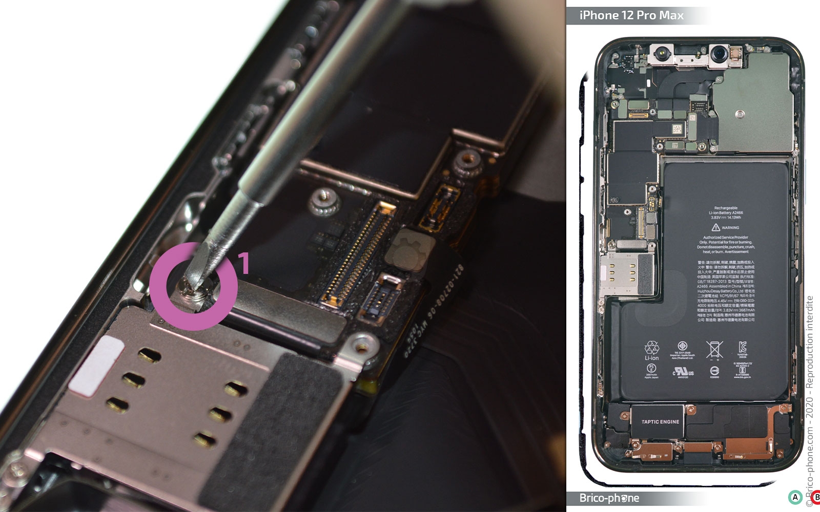 Démontage complet sur iPhone 12 Pro Max photo 3