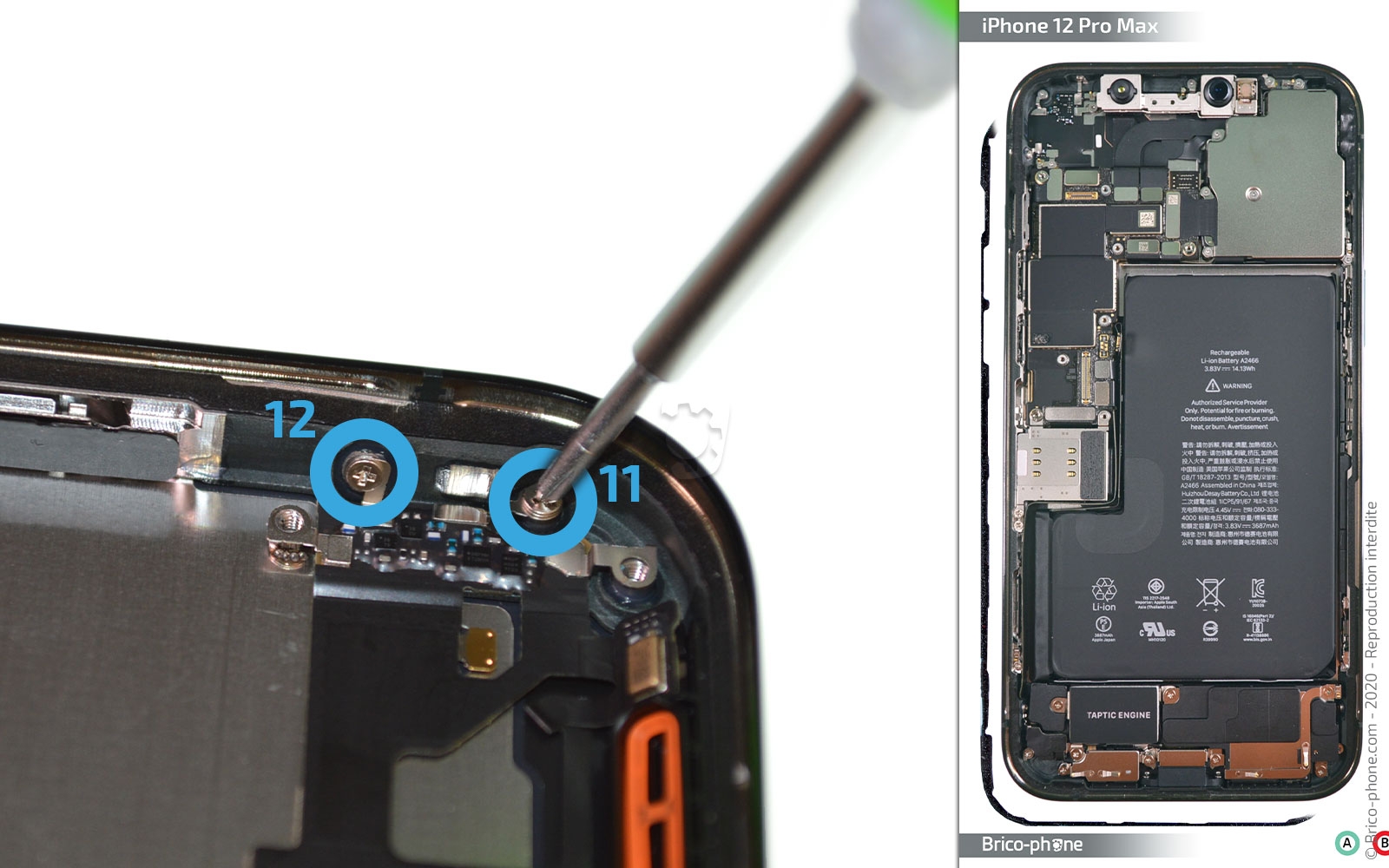 Démontage complet sur iPhone 12 Pro Max photo 1