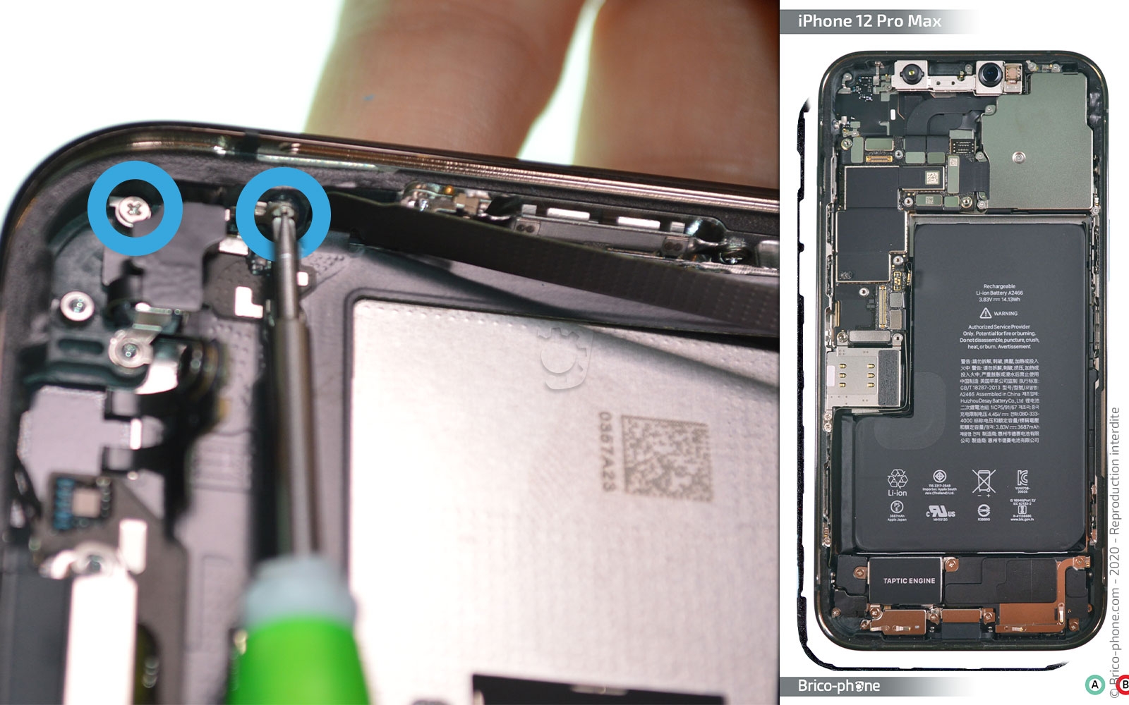 Démontage complet sur iPhone 12 Pro Max photo 3