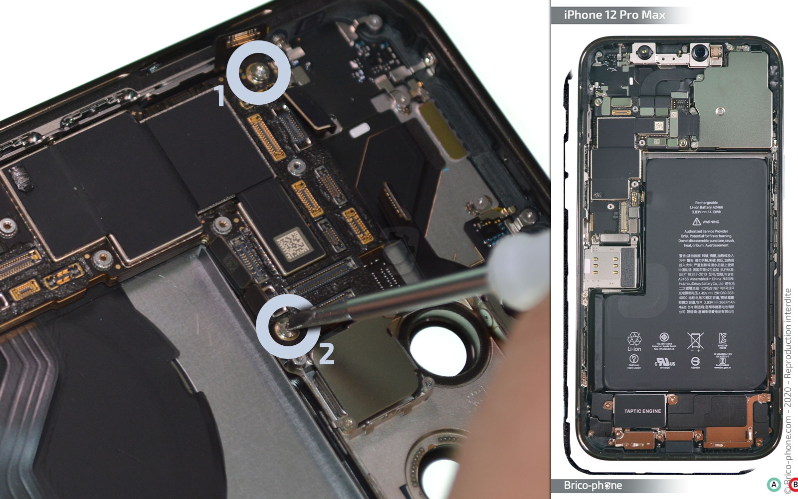 Démontage complet sur iPhone 12 Pro Max photo 2