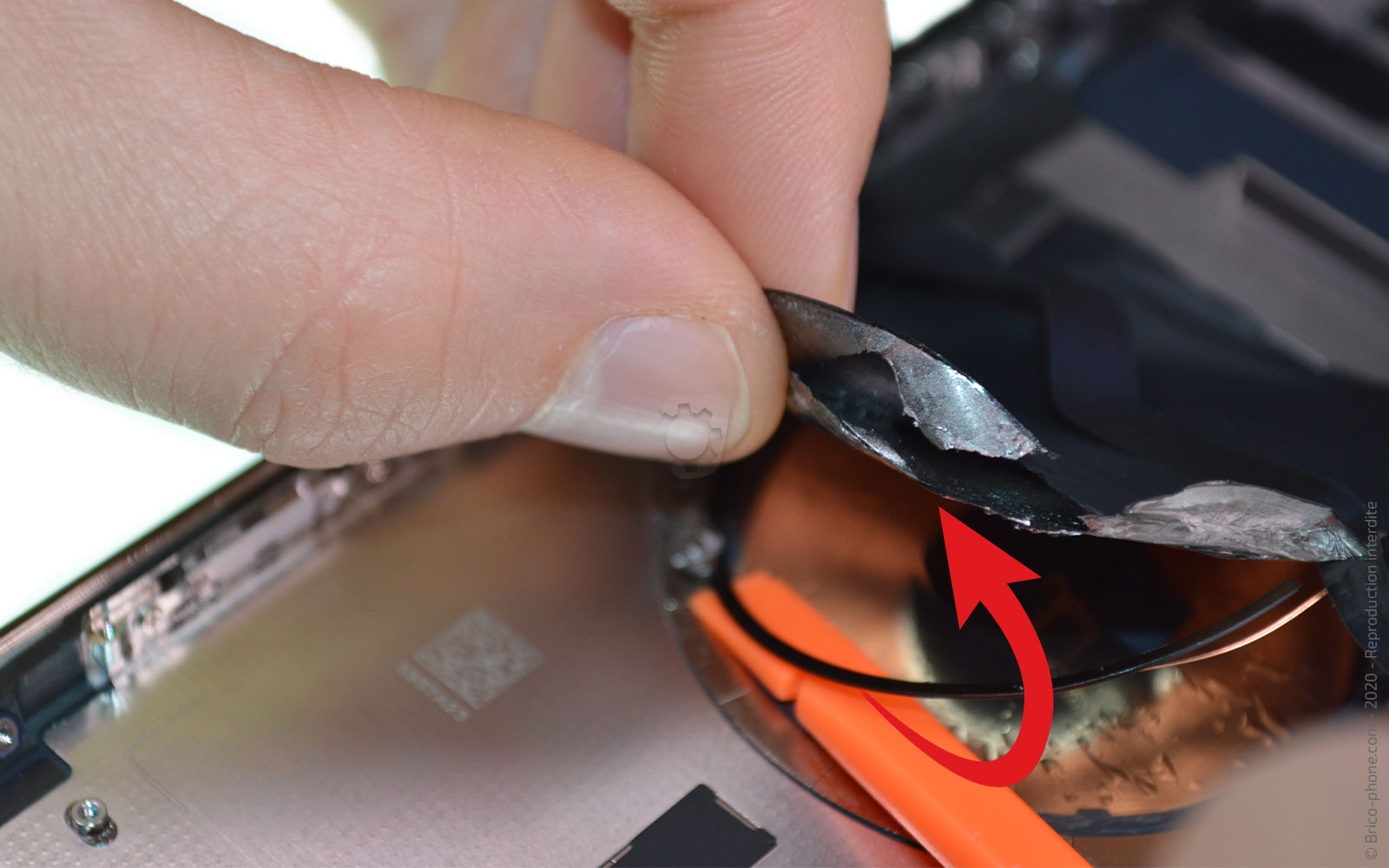 Démontage complet sur iPhone 12 Pro Max photo 3