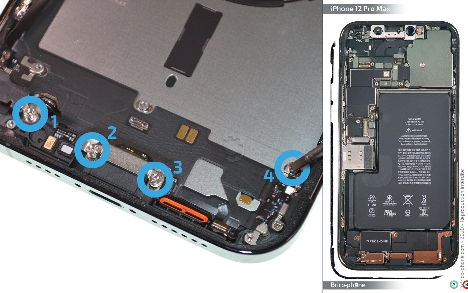 Démontage complet sur iPhone 12 Pro Max photo 1