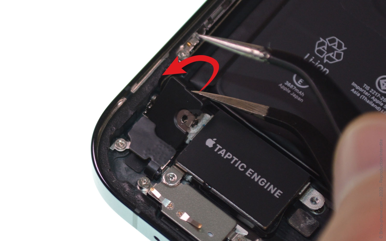 Démontage complet sur iPhone 12 Pro Max photo 2