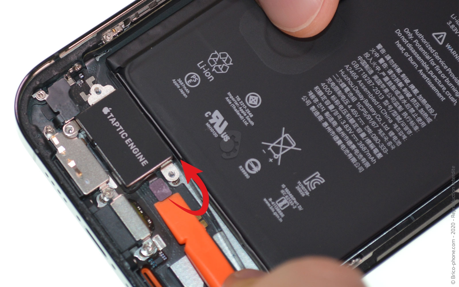 Démontage complet sur iPhone 12 Pro Max photo 2