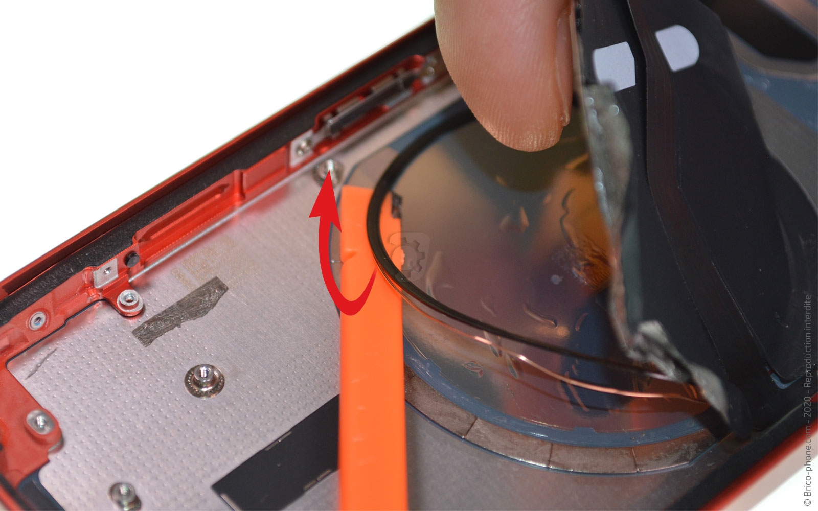 Démontage complet sur iPhone 12 Mini photo 3