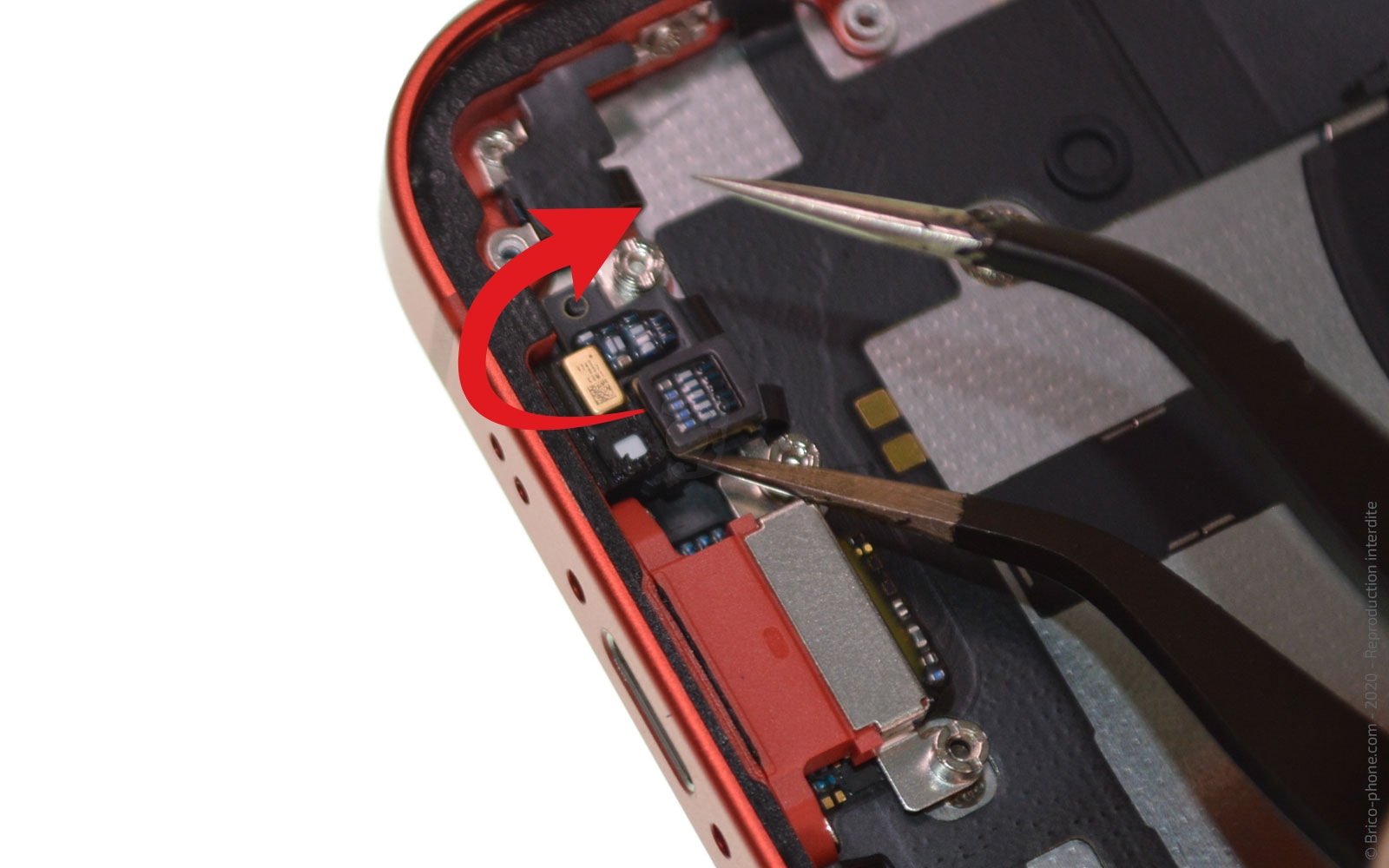 Démontage complet sur iPhone 12 Mini photo 1