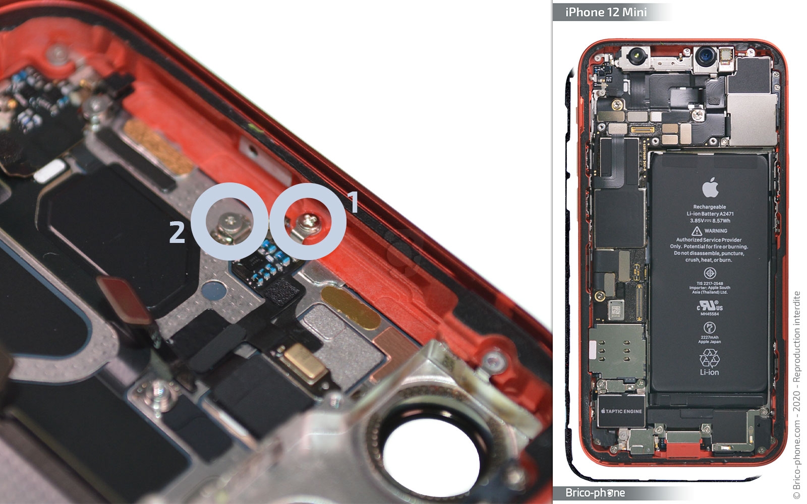 Démontage complet sur iPhone 12 Mini photo 1
