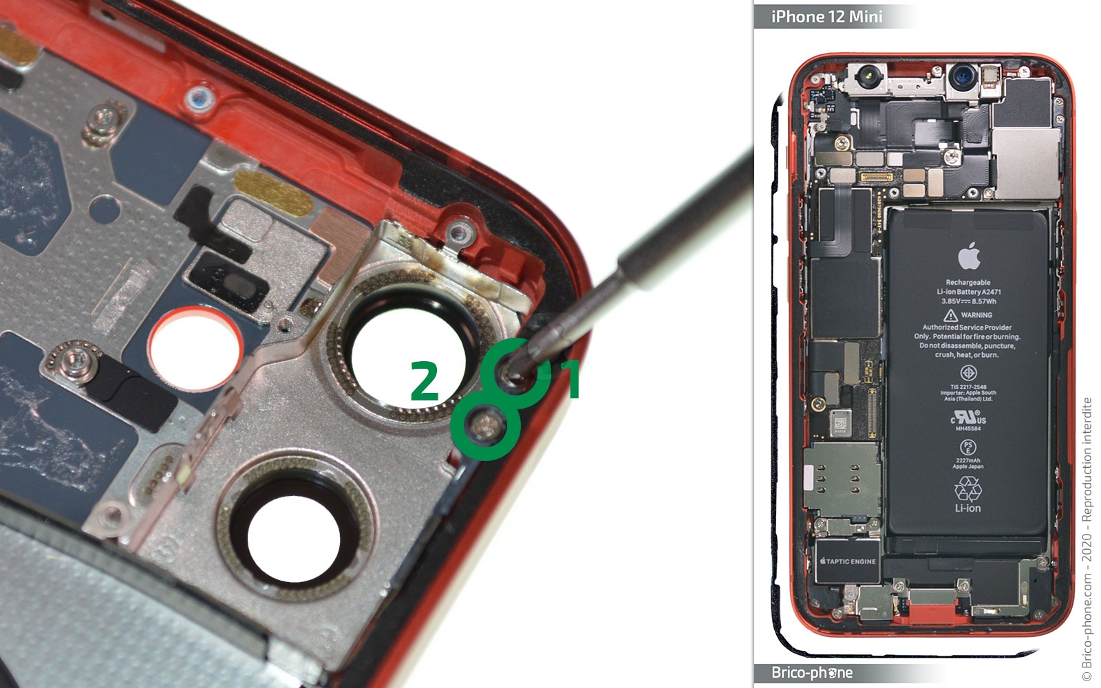 Démontage complet sur iPhone 12 Mini photo 1