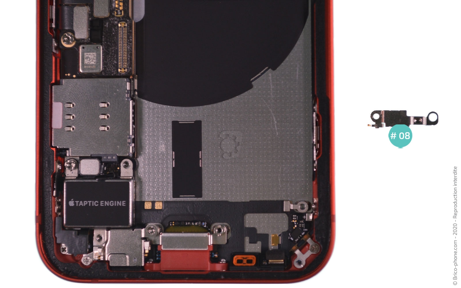 Démontage complet sur iPhone 12 Mini photo 4