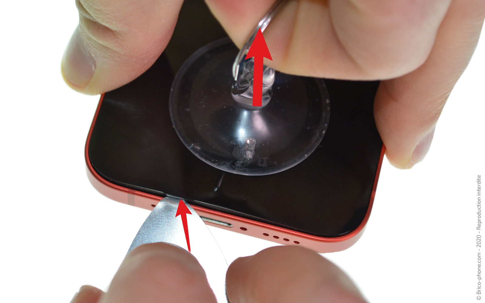 Démontage complet sur iPhone 12 Mini photo 1