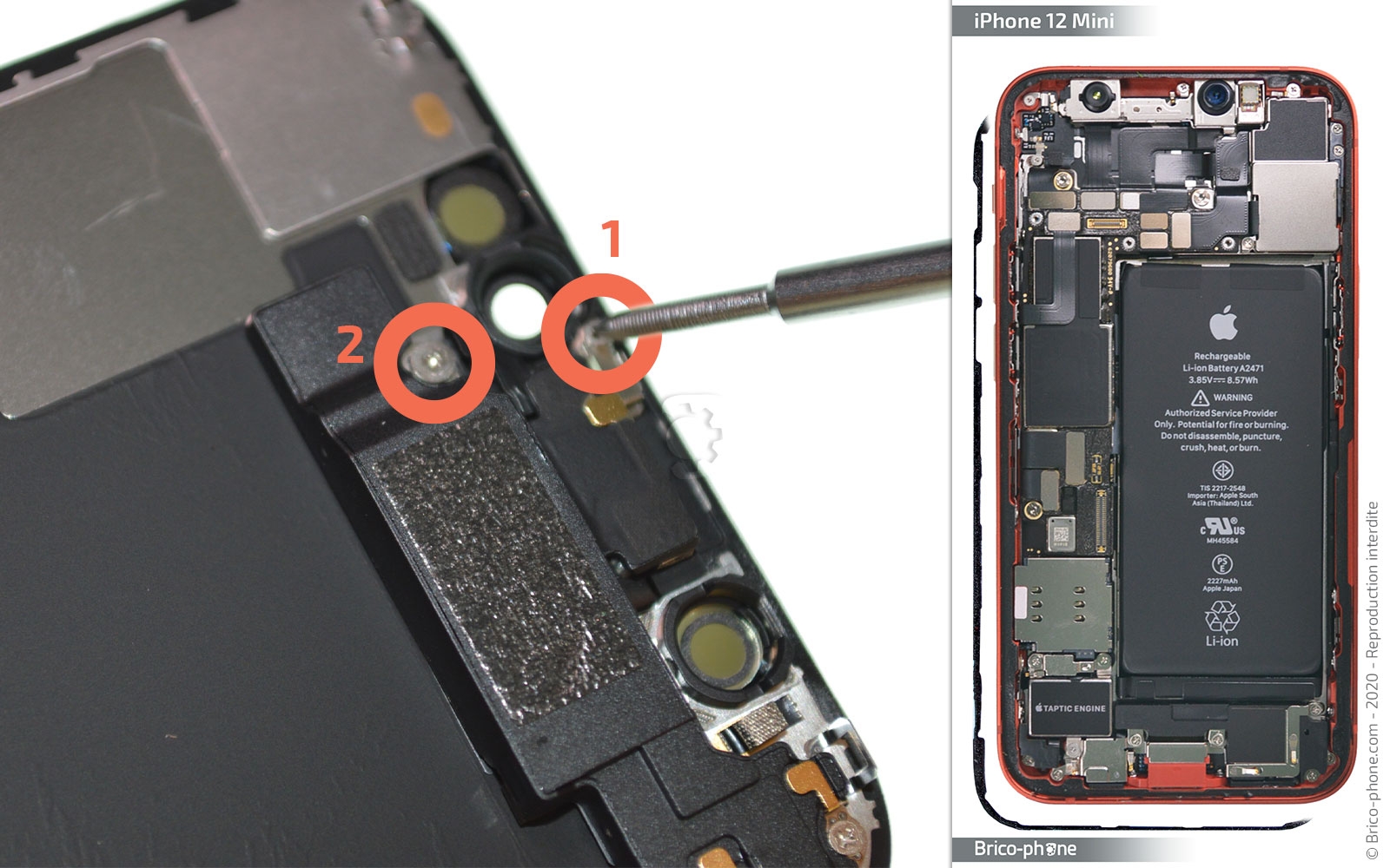 Démontage complet sur iPhone 12 Mini photo 2