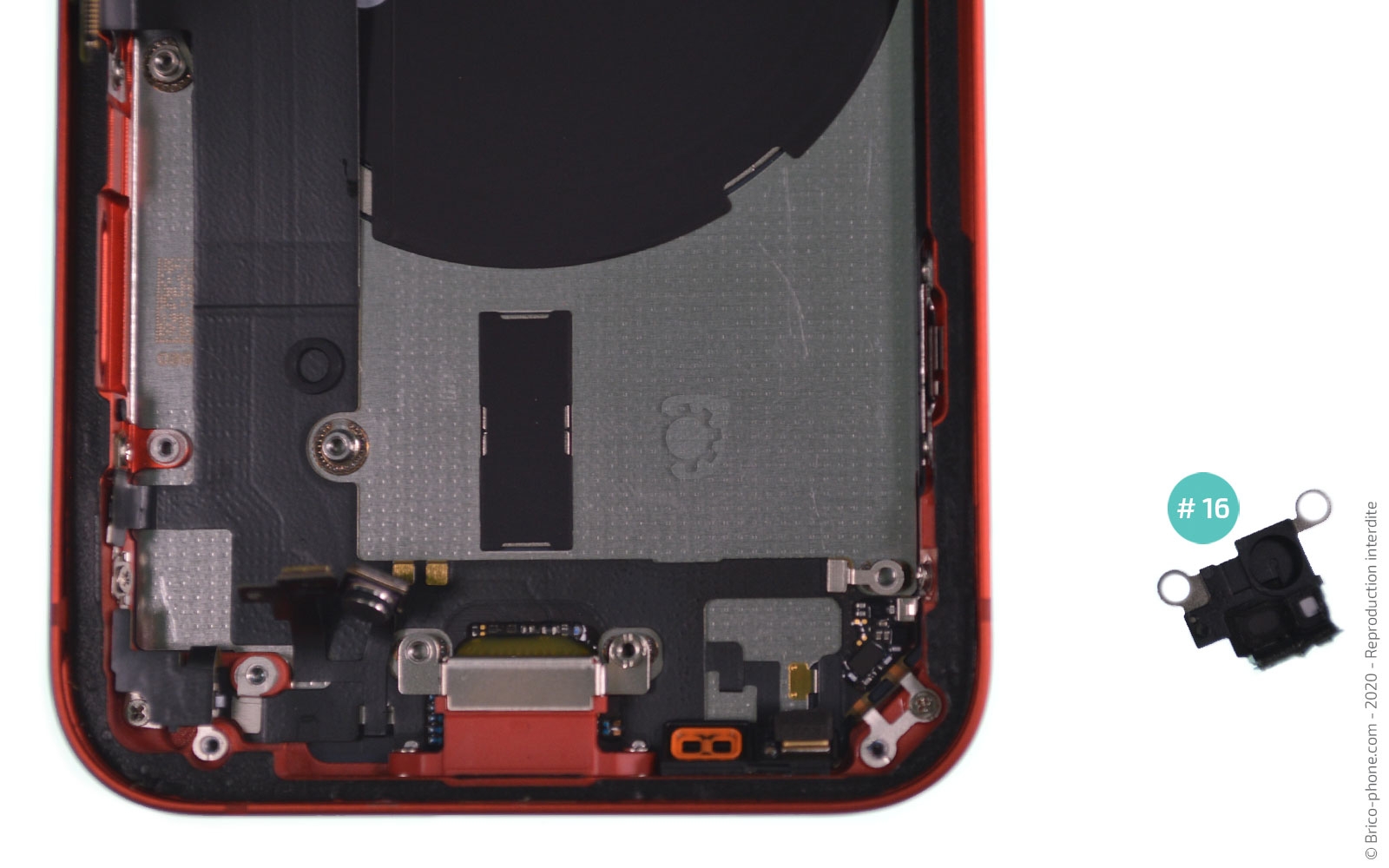 Démontage complet sur iPhone 12 Mini photo 3