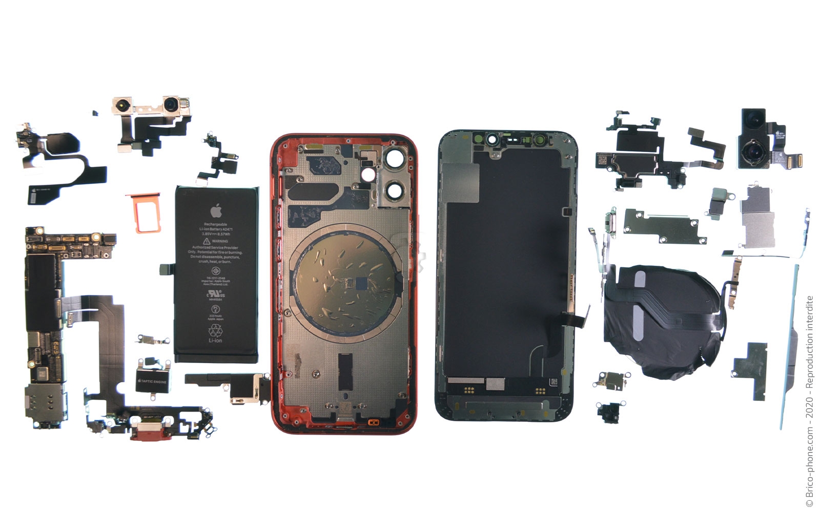Démontage complet sur iPhone 12 Mini photo 1