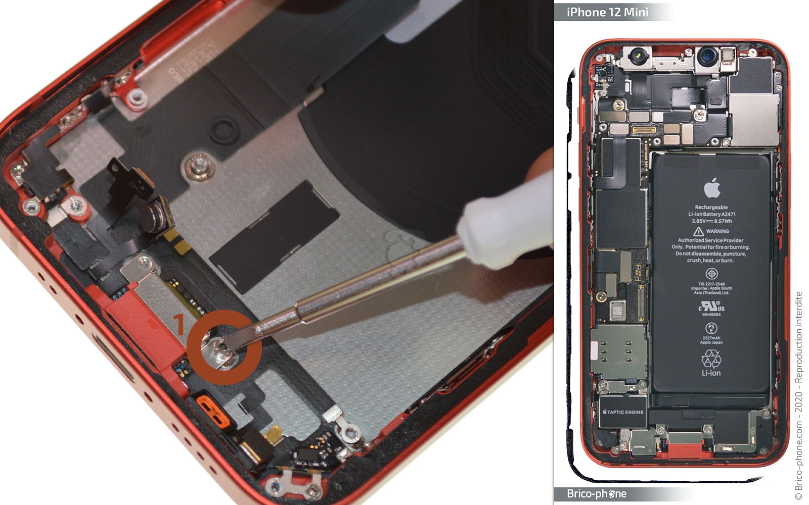 Remplacer le connecteur de charge sur iPhone 12 Mini photo 1