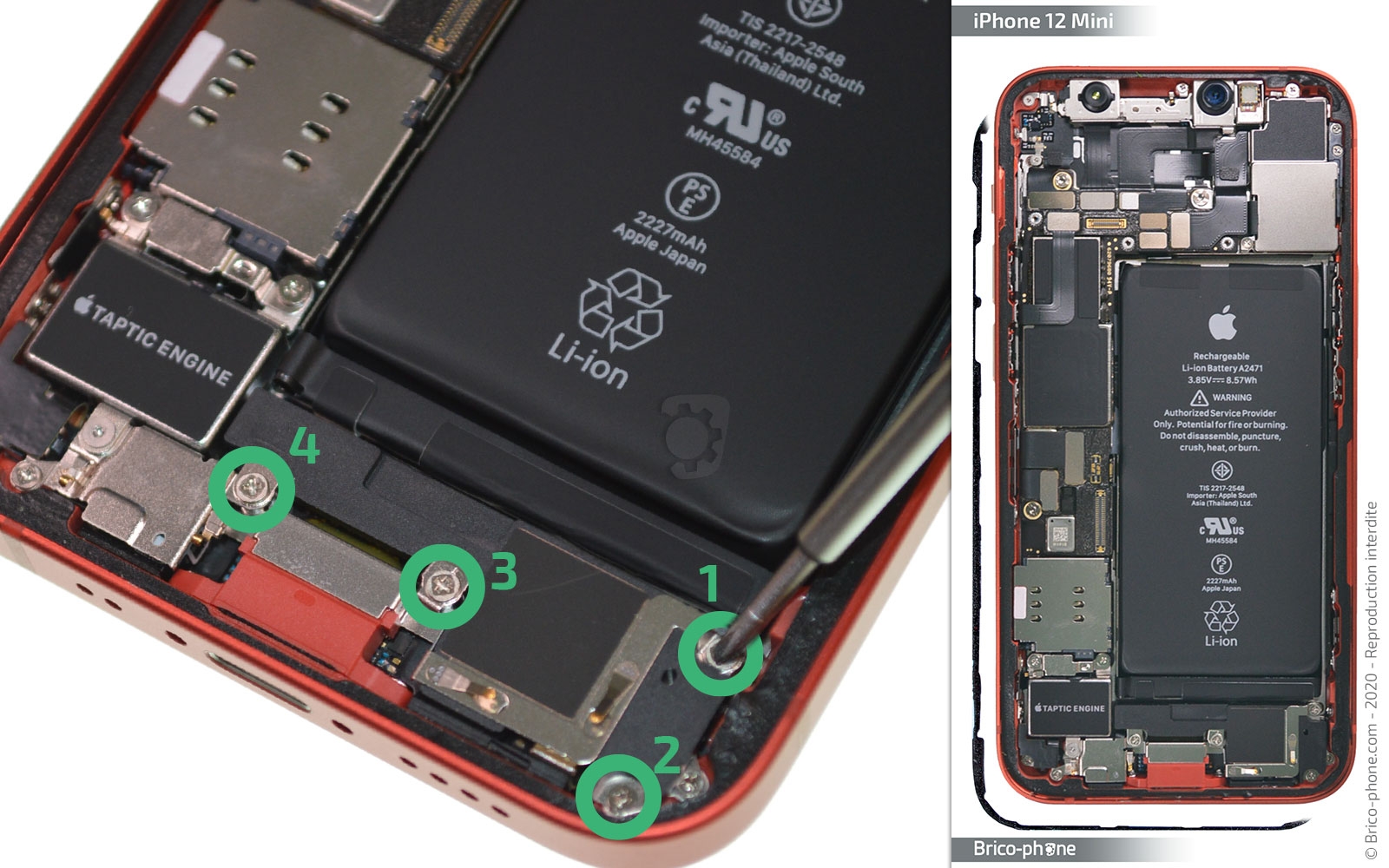 Changement du haut-parleur externe sur iPhone 12 Mini photo 1