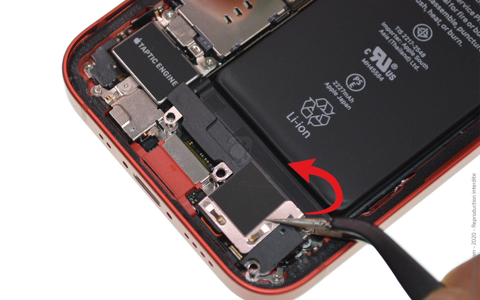 Changement du haut-parleur externe sur iPhone 12 Mini photo 2