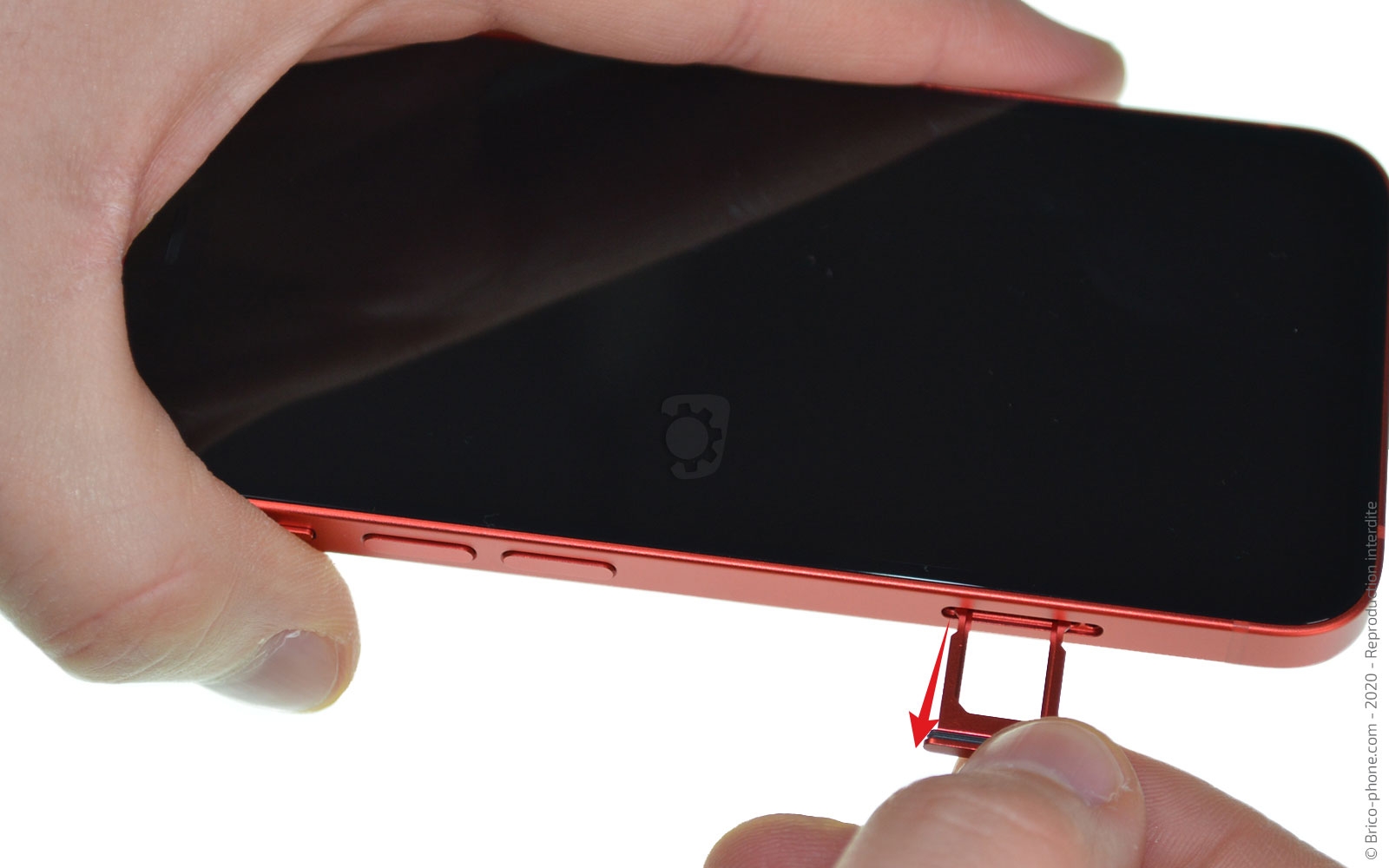 Remplacement du Taptic Engine (vibreur) sur iPhone 12 Mini photo 2