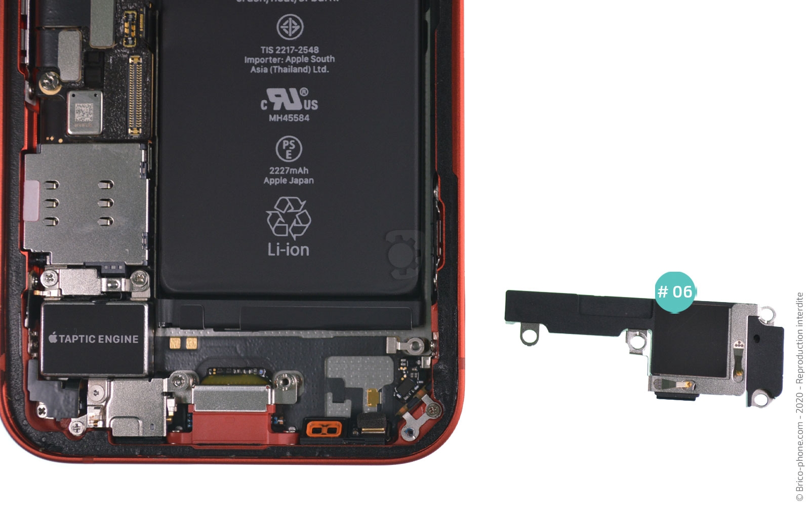 Remplacement du Taptic Engine (vibreur) sur iPhone 12 Mini photo 3