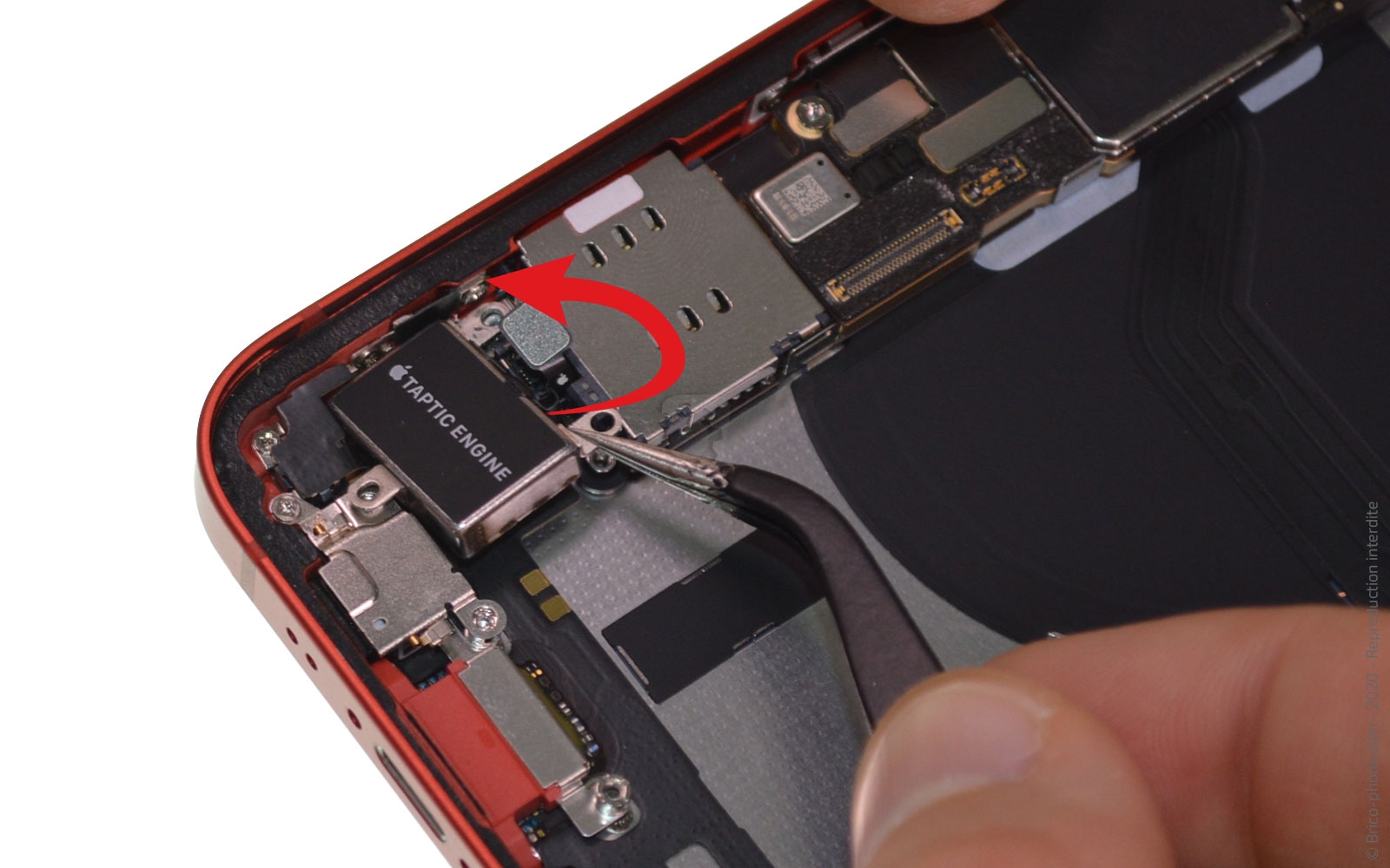 Remplacement du Taptic Engine (vibreur) sur iPhone 12 Mini photo 3