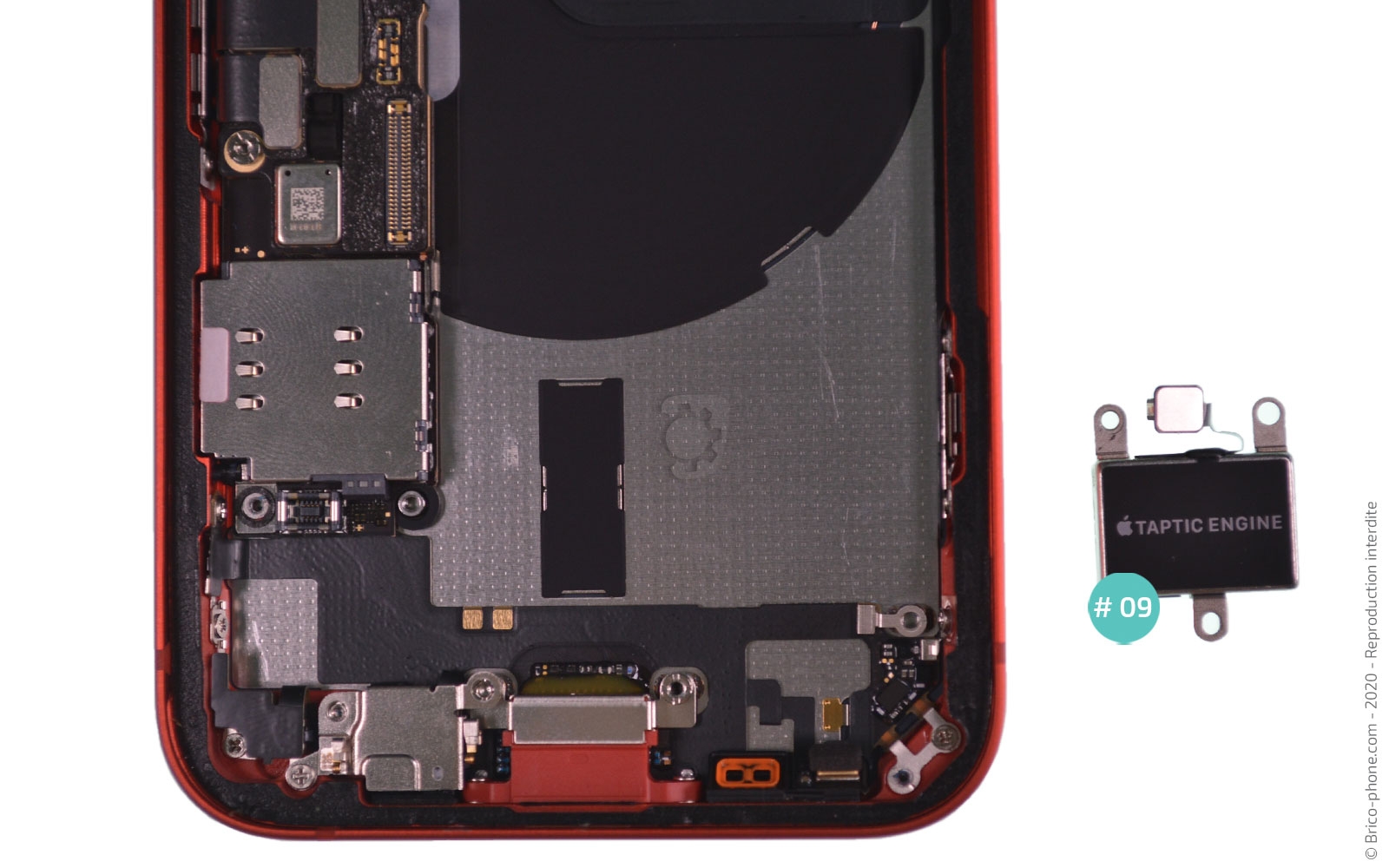 Remplacement du Taptic Engine (vibreur) sur iPhone 12 Mini photo 4