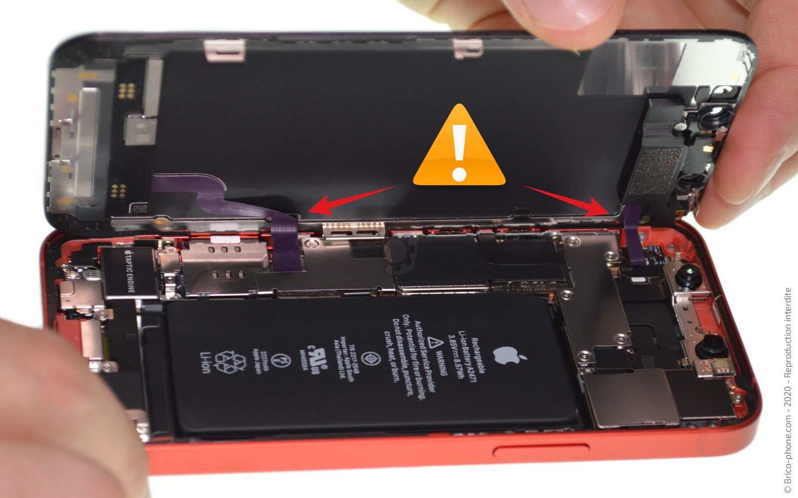 Remplacement du Taptic Engine (vibreur) sur iPhone 12 Mini photo 4