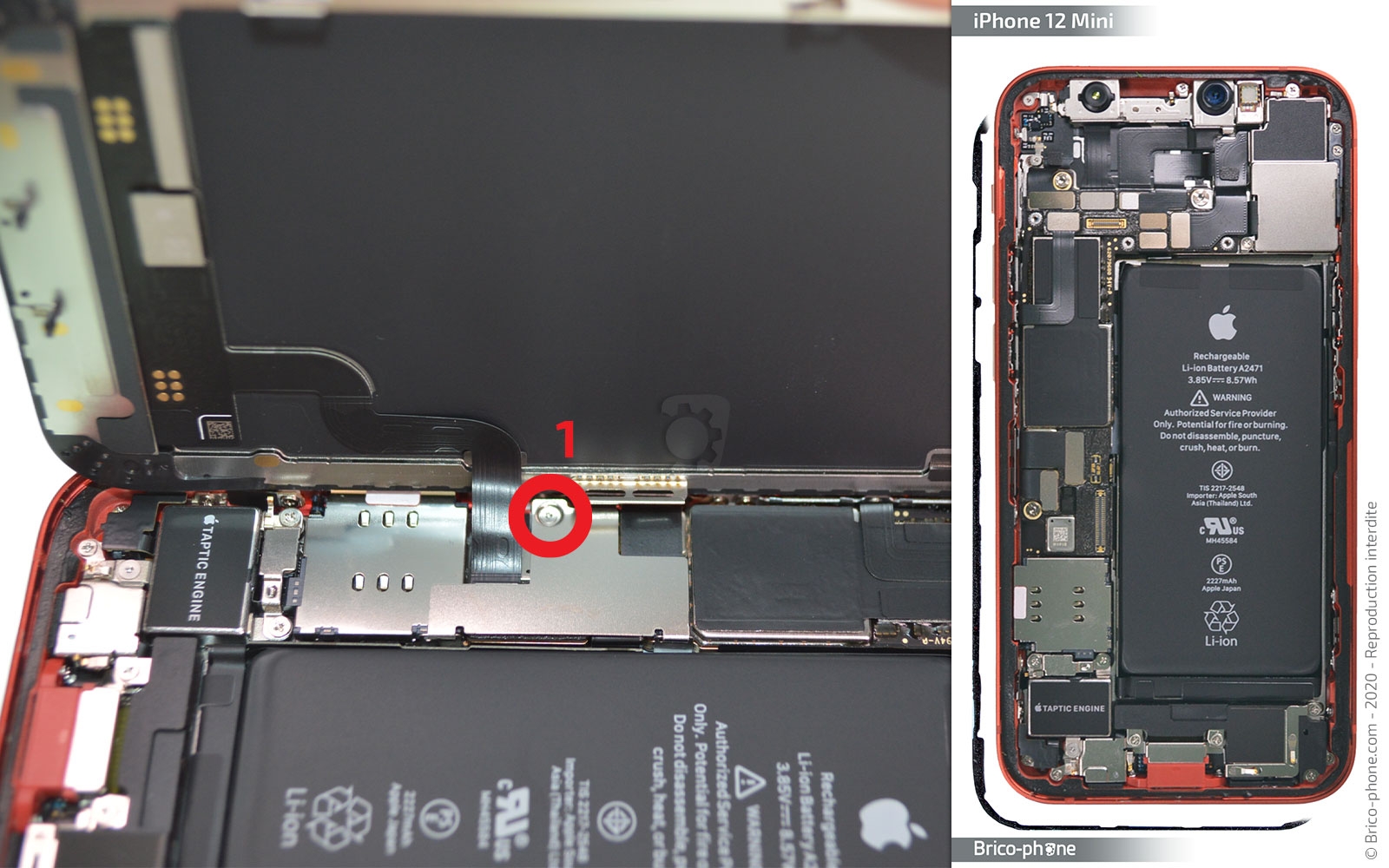 Changement du module double caméras arrière sur iPhone 12 Mini photo 1