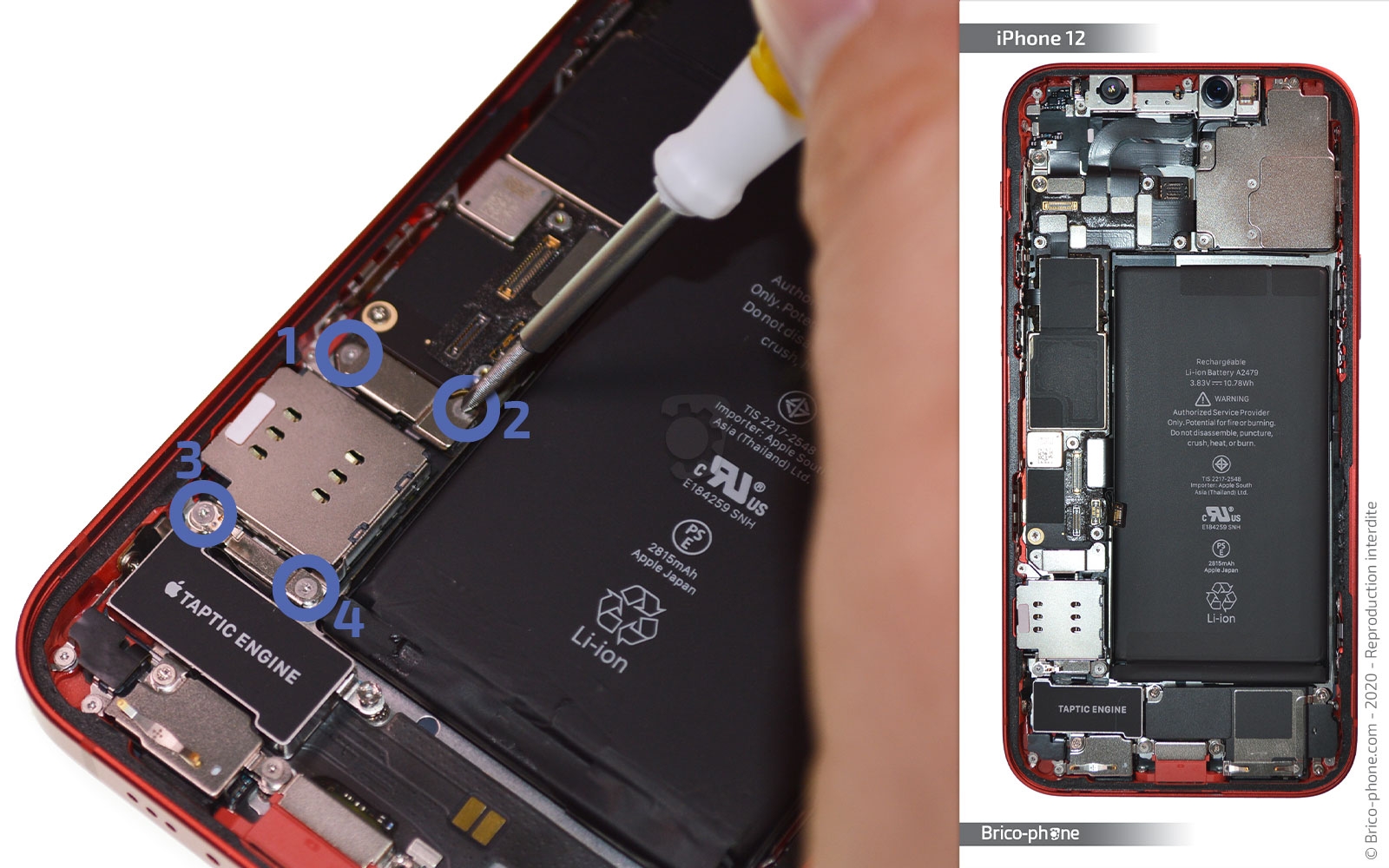 Changement du Taptic Engine sur iPhone 12 photo 1