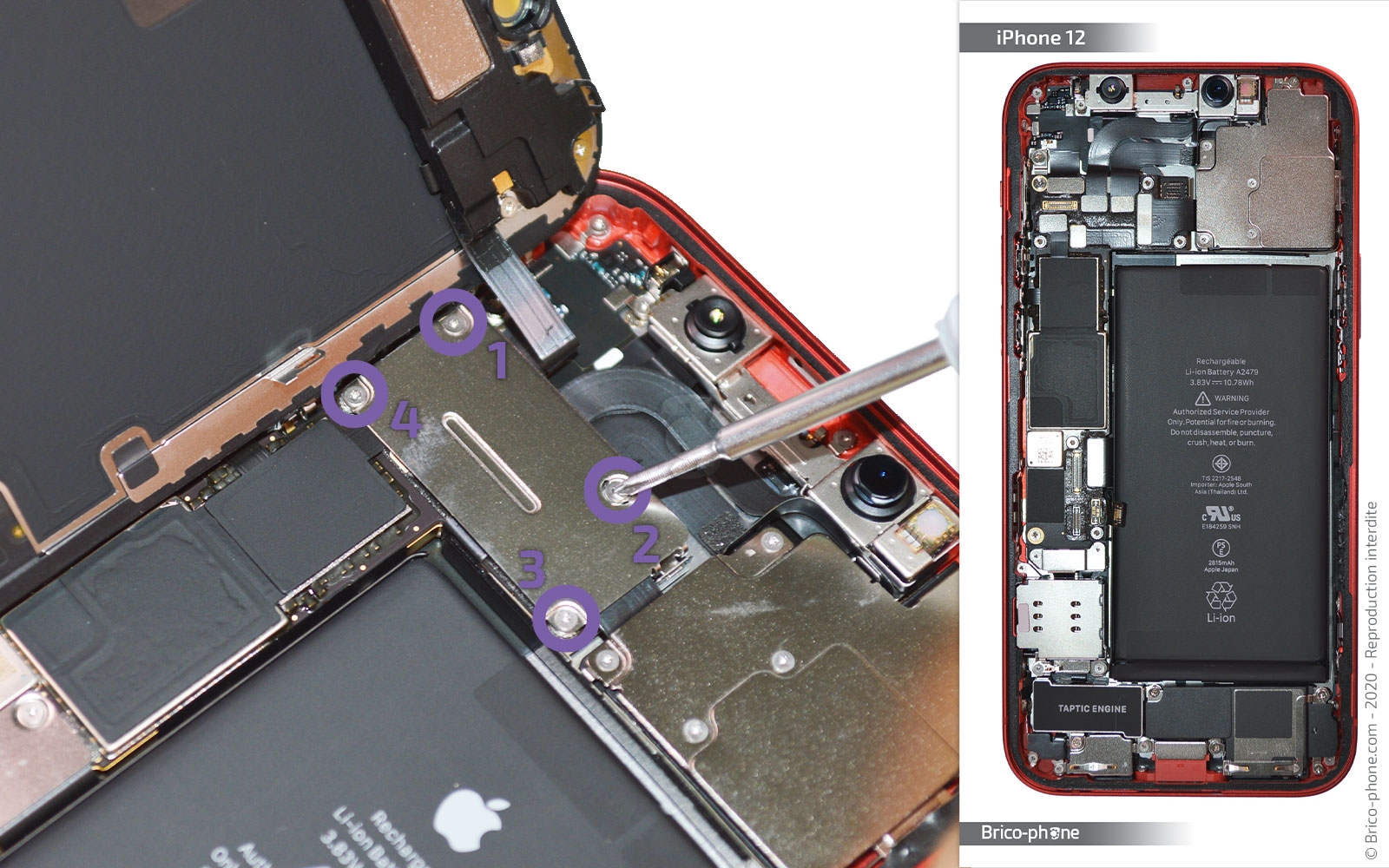 Changement du Taptic Engine sur iPhone 12 photo 1