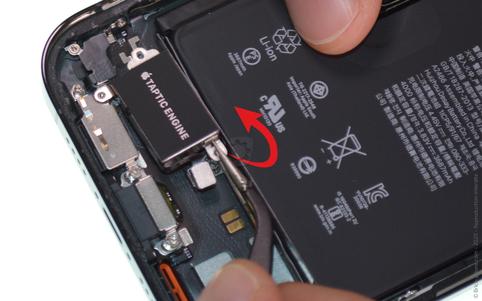 Changement du connecteur de charge sur iPhone 12 Pro Max photo 3