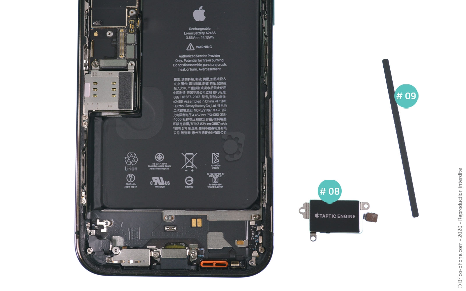 Changement du connecteur de charge sur iPhone 12 Pro Max photo 4