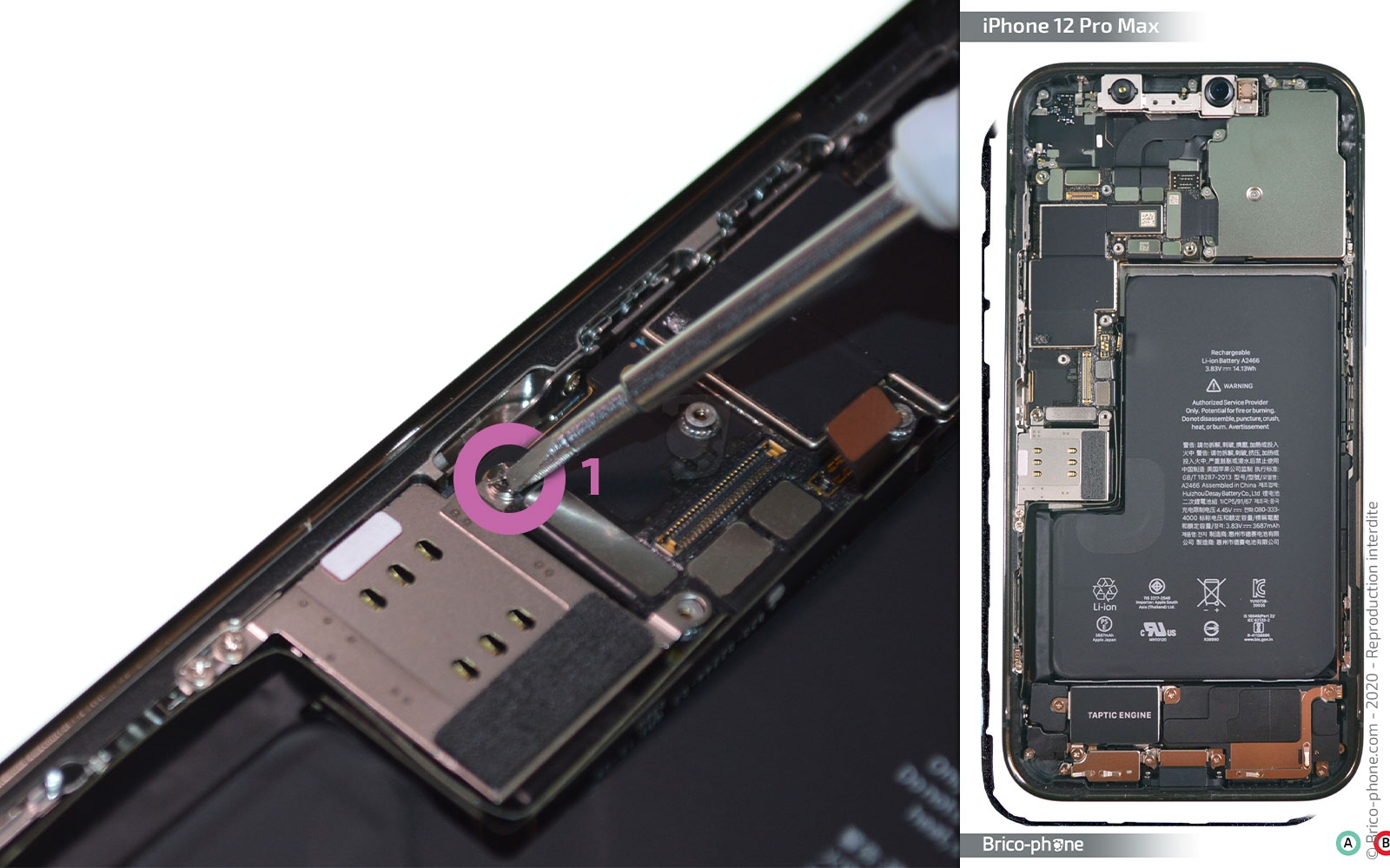 Changement du lecteur de carte SIM sur iPhone 12 Pro Max photo 1