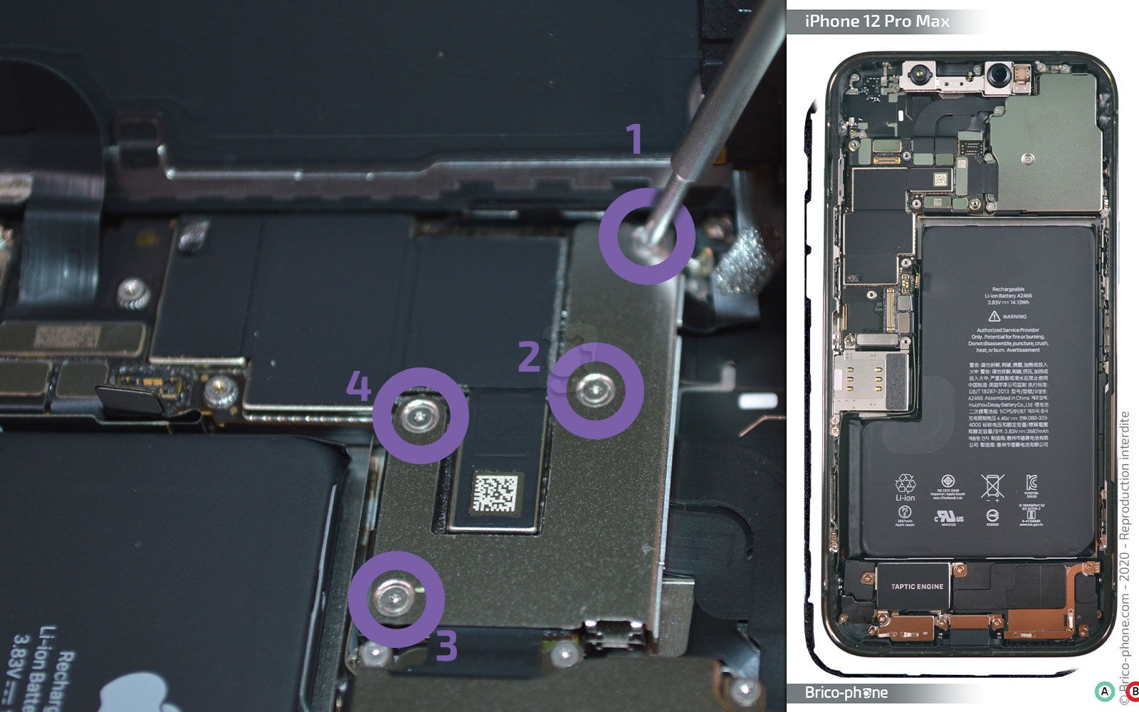 Changement du haut-parleur externe sur iPhone 12 Pro Max photo 1