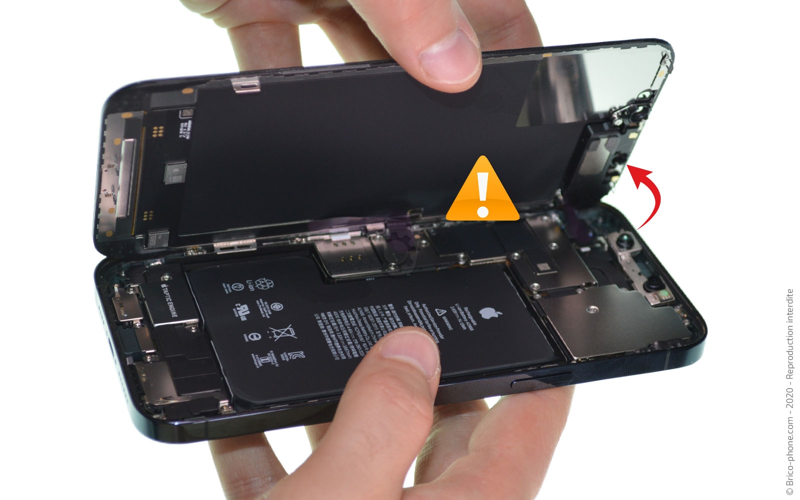 Changement du Taptic Engine sur iPhone 12 Pro Max photo 4