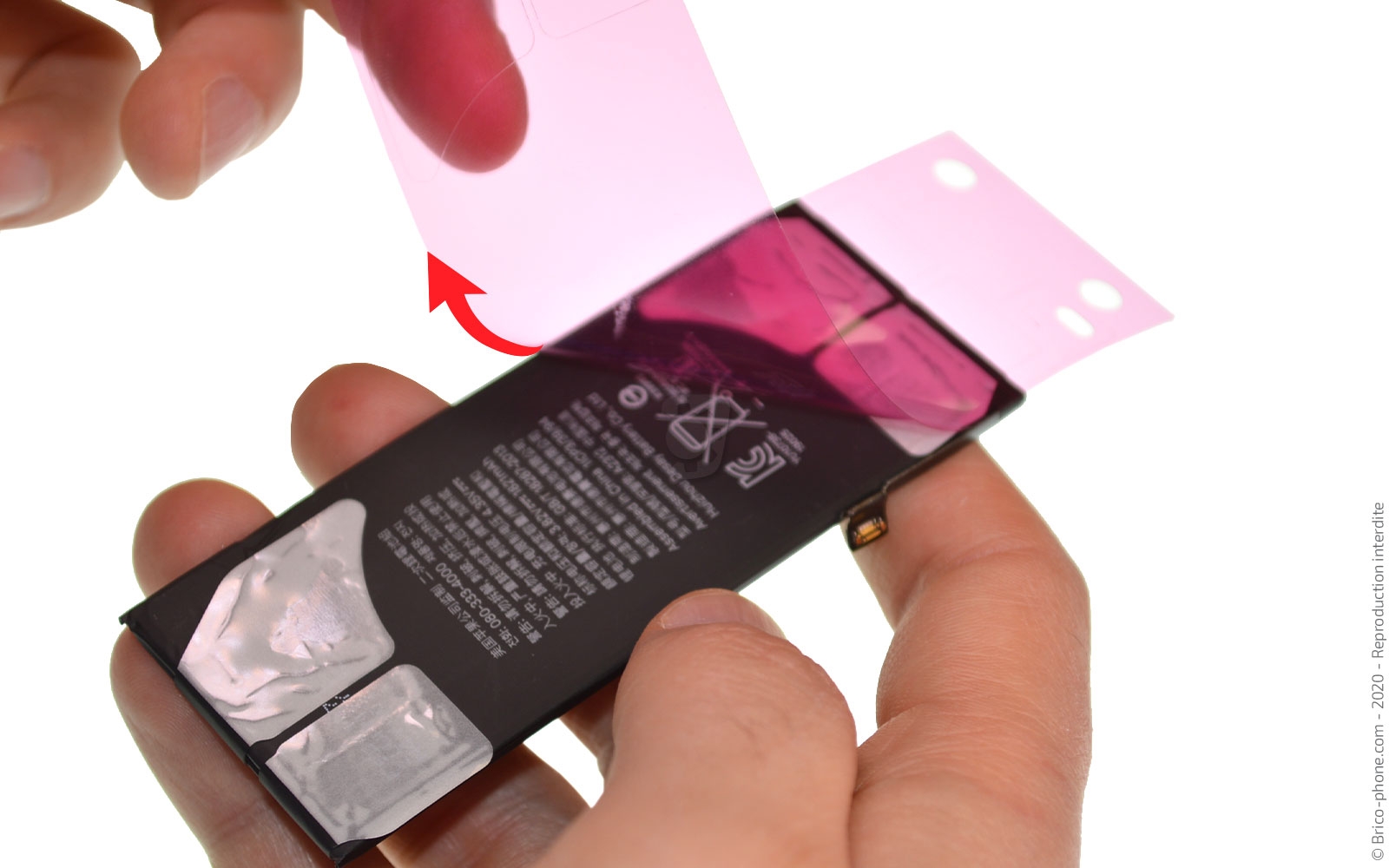 Changement de coque arrière sur iPhone SE 2020 photo 4