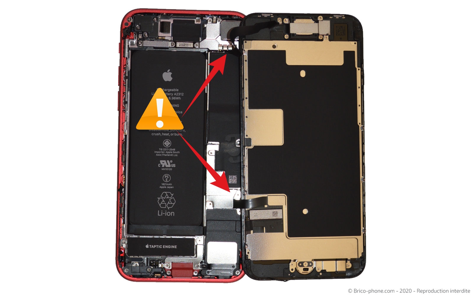 Changement de coque arrière sur iPhone SE 2020 photo 4