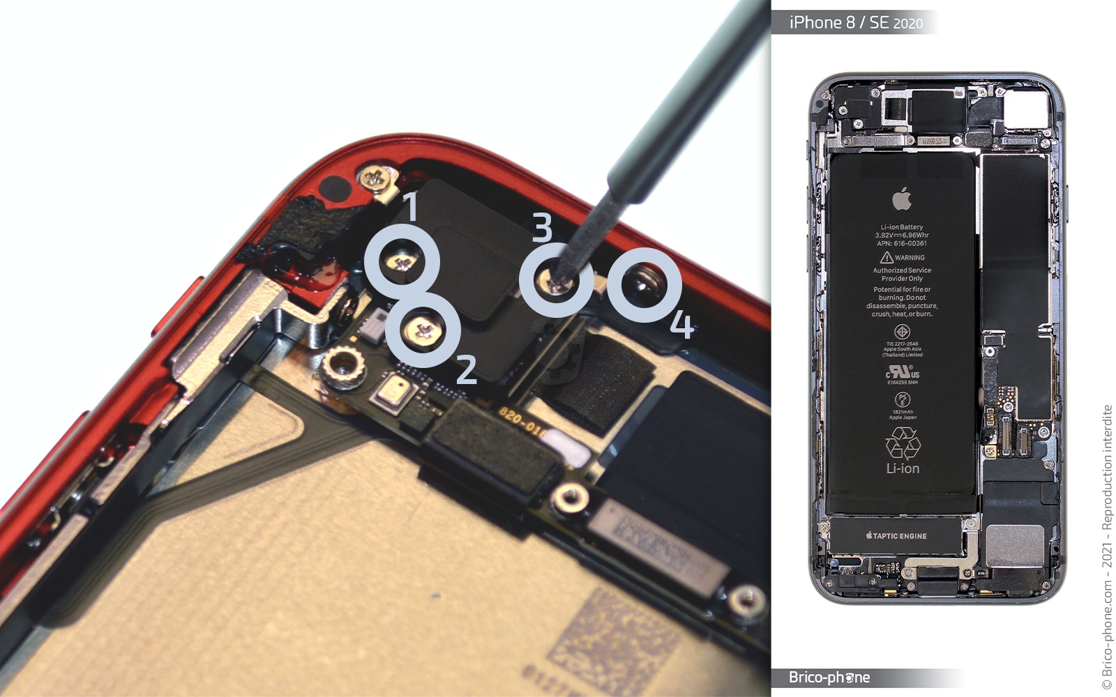 Changement de coque arrière sur iPhone SE 2020 photo 3