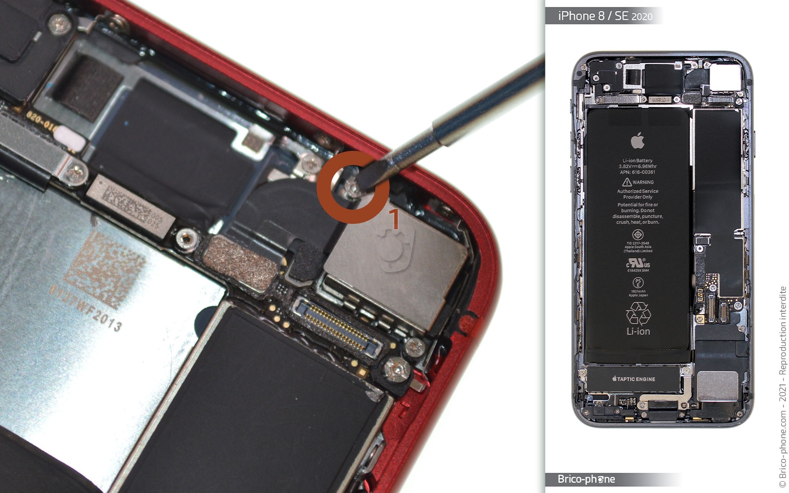 Changement de coque arrière sur iPhone SE 2020 photo 1