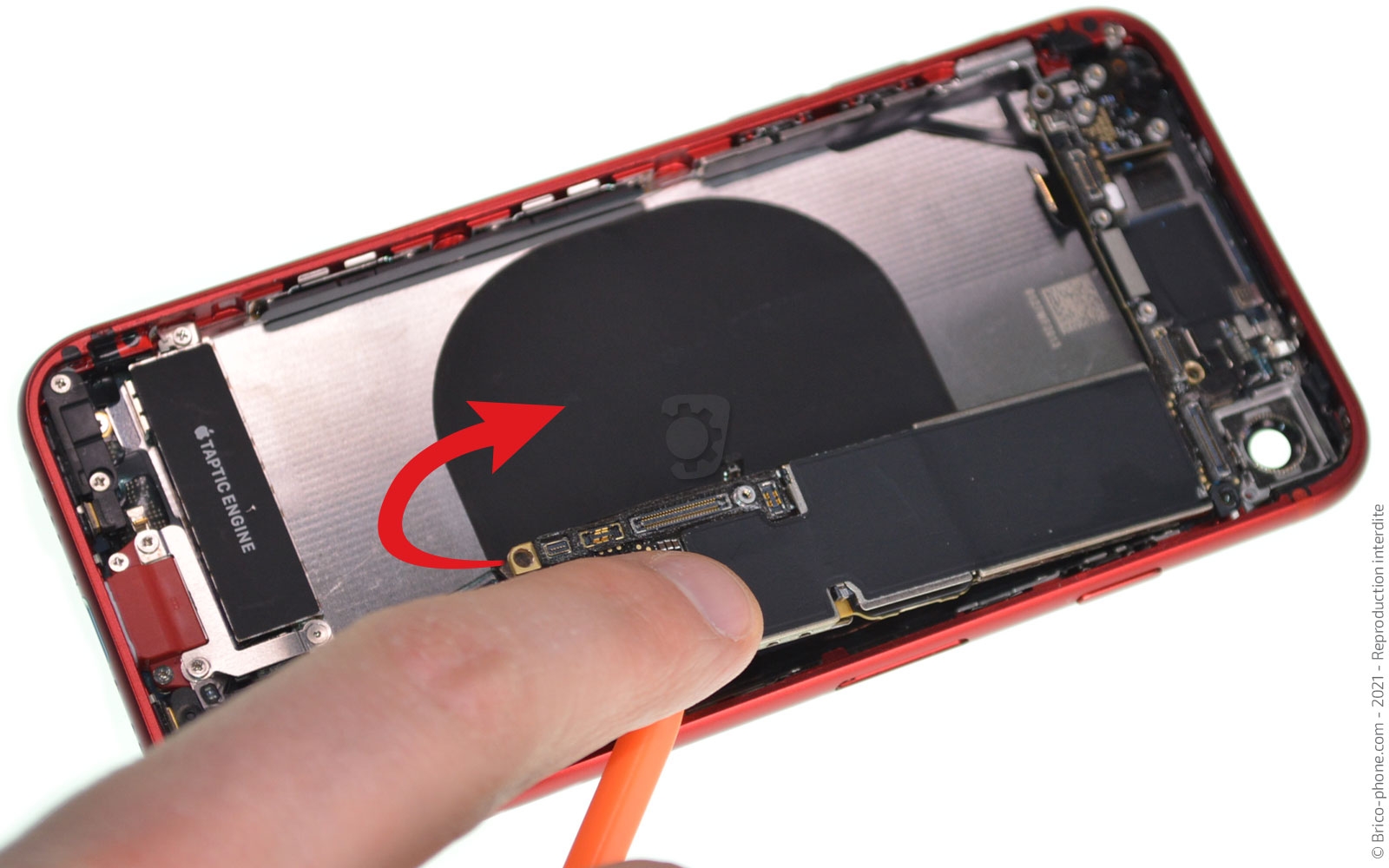 Changement de coque arrière sur iPhone SE 2020 photo 1