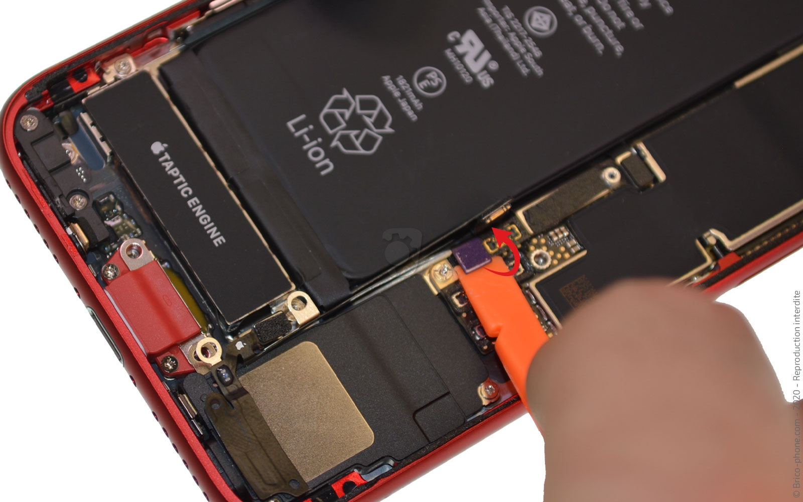 Changement du Taptic Engine (vibreur) sur iPhone SE 2020 photo 3