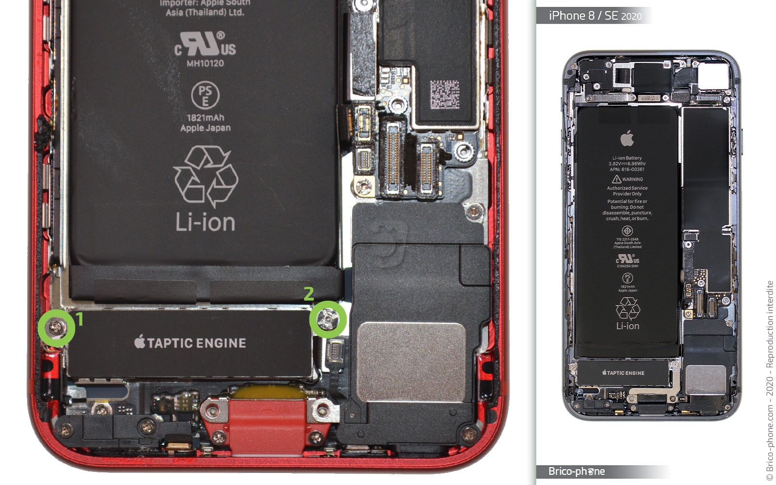 Changement du Taptic Engine (vibreur) sur iPhone SE 2020 photo 1