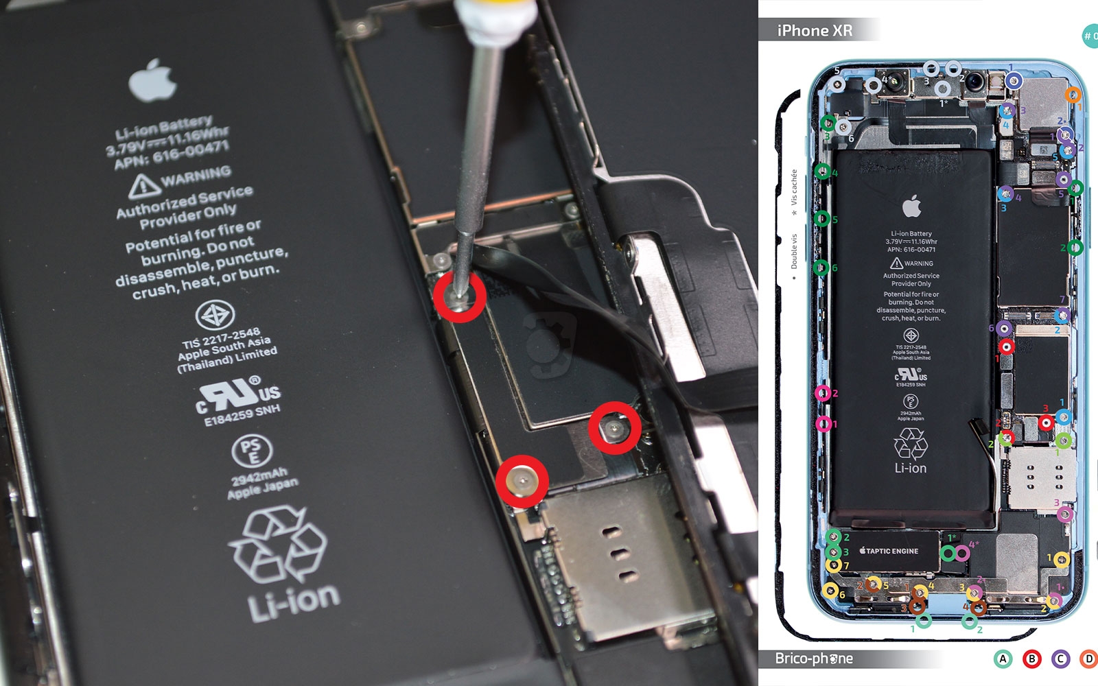 Changement de la coque arrière sur iPhone XR photo 1