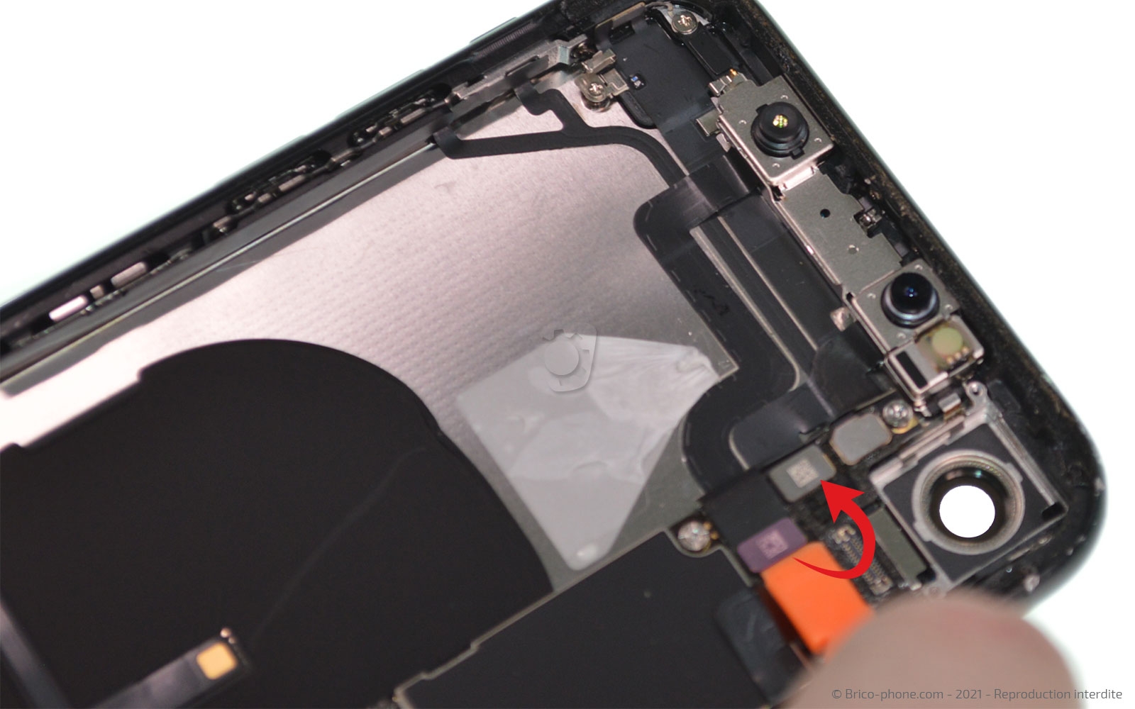 Changement de la coque arrière sur iPhone XR photo 1