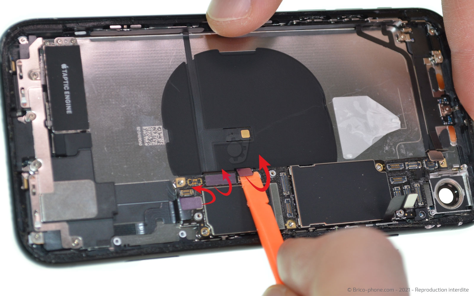 Changement de la coque arrière sur iPhone XR photo 4