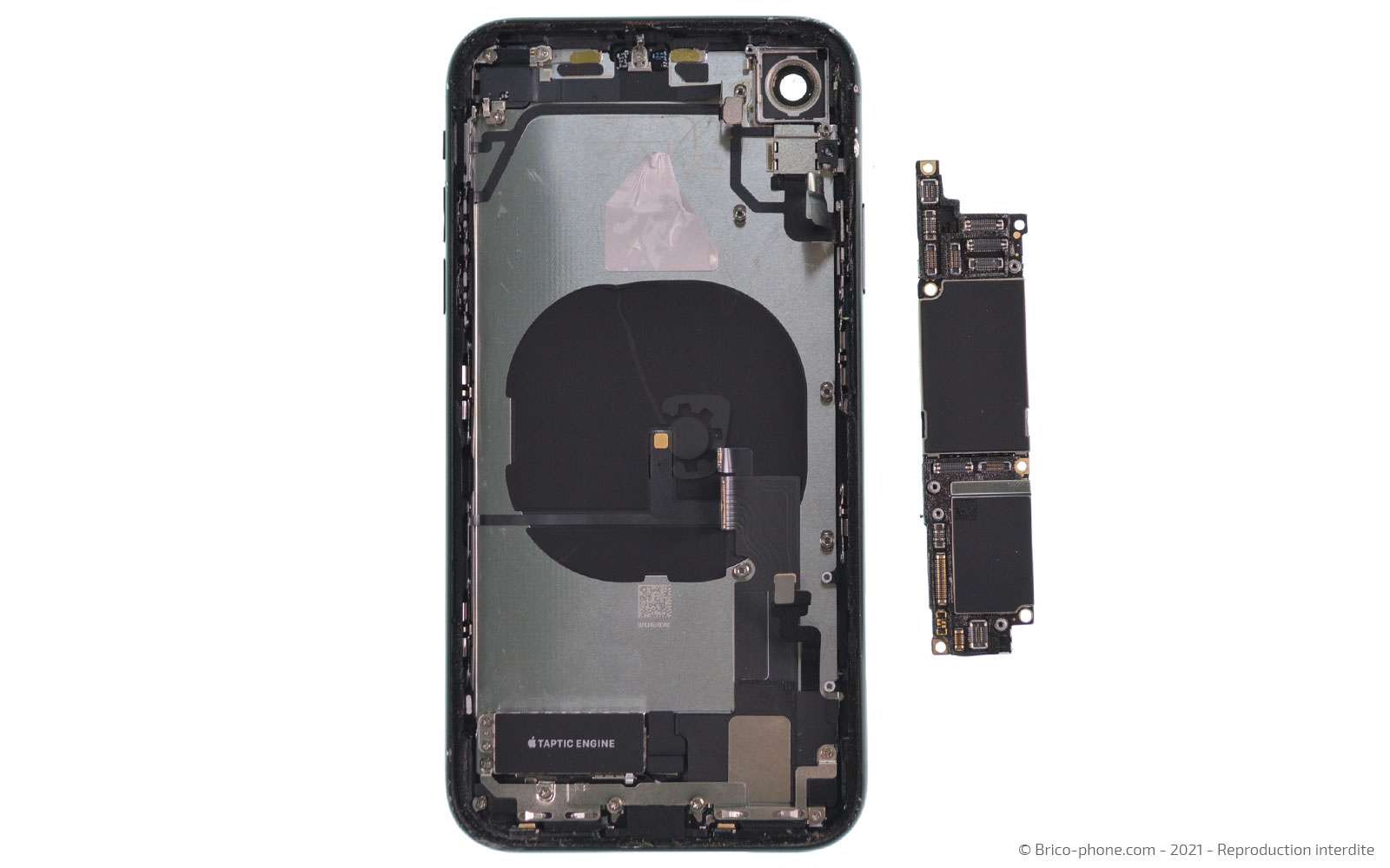 Changement de la coque arrière sur iPhone XR photo 2