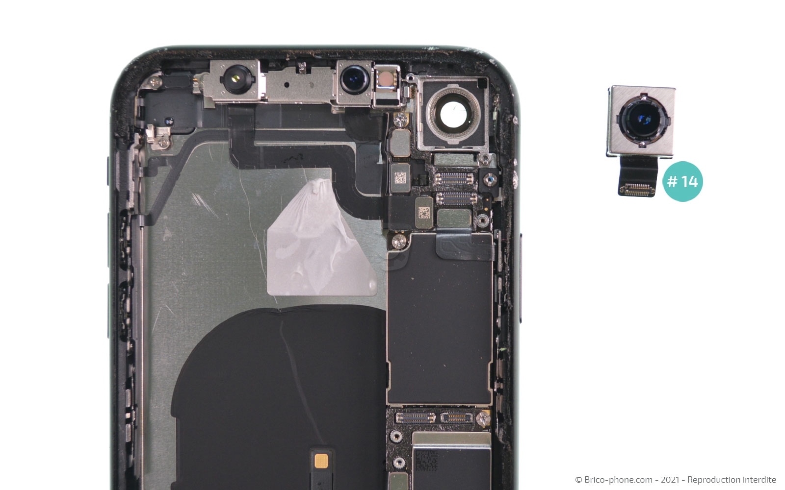 Changement de la coque arrière sur iPhone XR photo 3