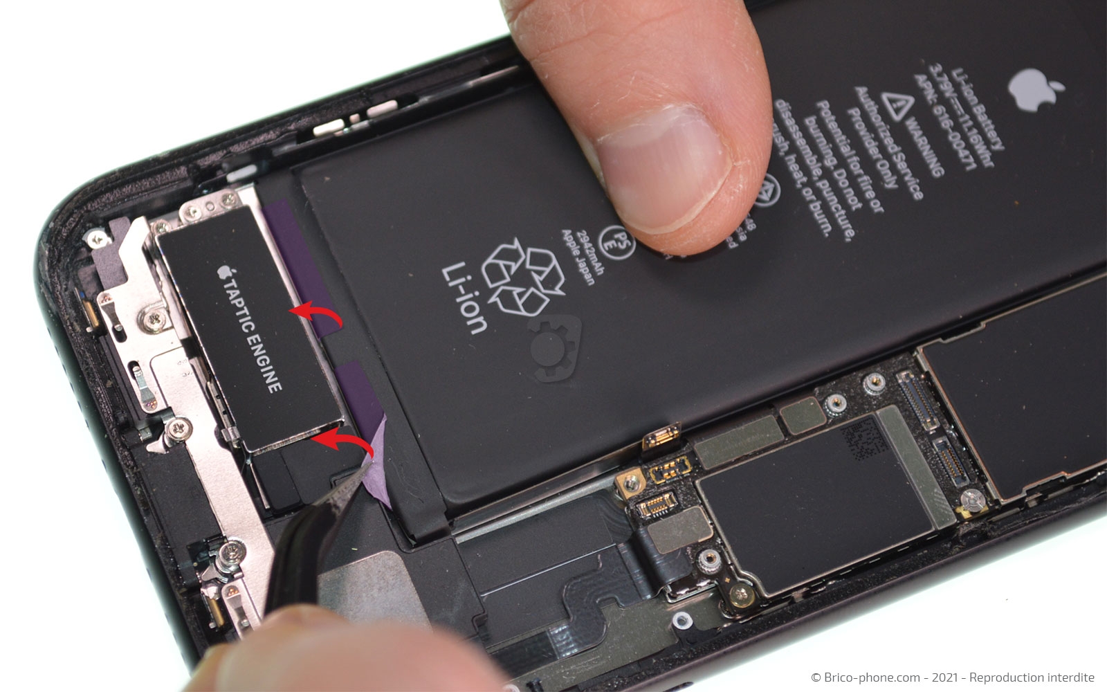 Changement de la coque arrière sur iPhone XR photo 1