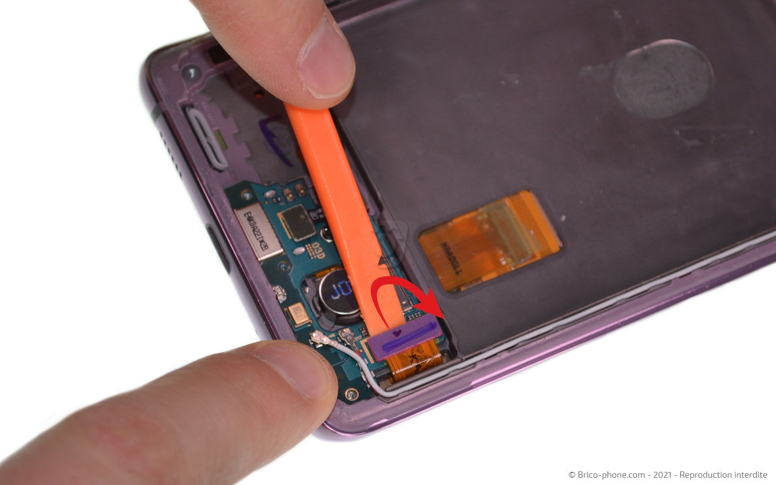 Démontage complet sur Galaxy S20 FE photo 1